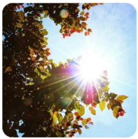 老王论坛VIP账号共享