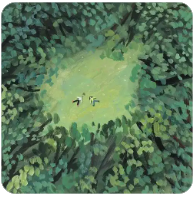 色花堂邀请码购买