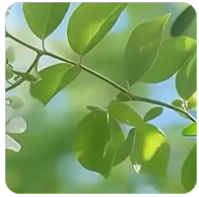 老王论坛VIP账号共享