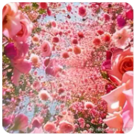 X1080X 高清论坛会员 